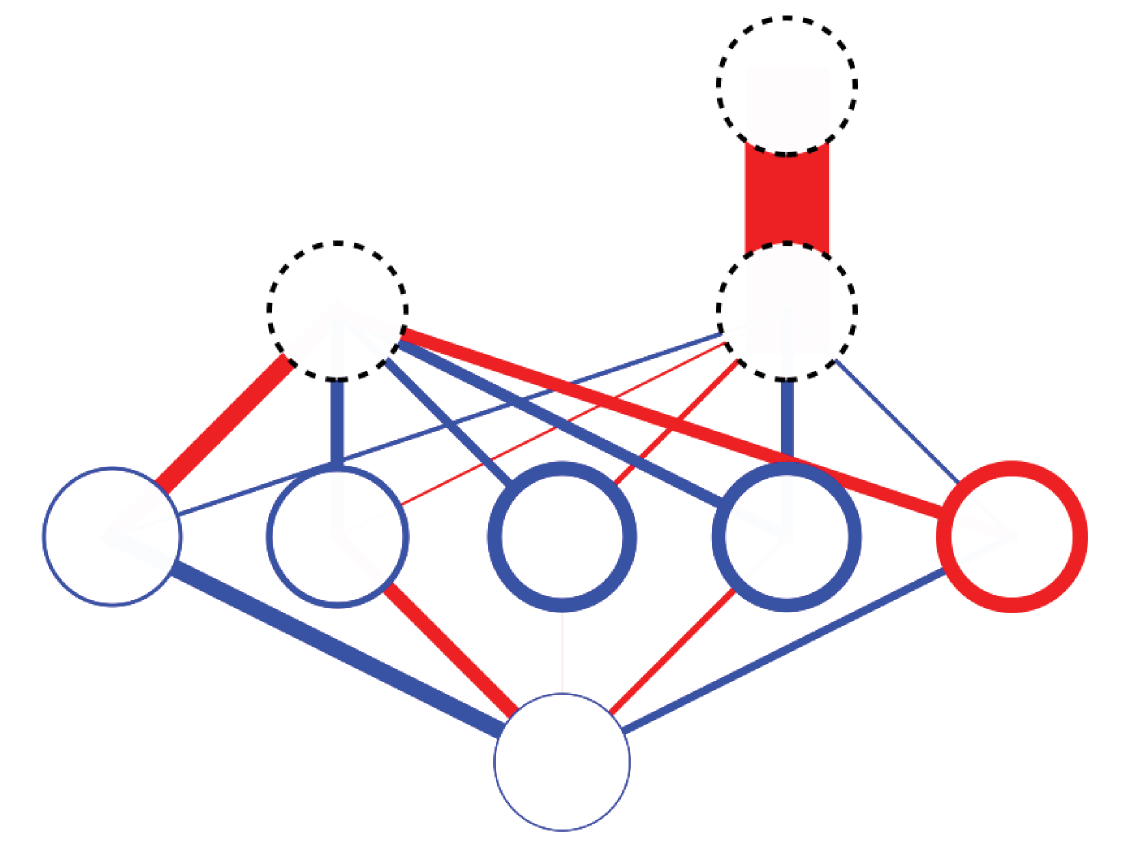 Growing neural network